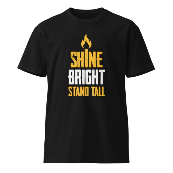Shine – Unisex premium t-shirt -  54355125461086