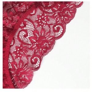 5pcs Sexy Hollow Out Low Waist Lace Triangle Panties Set Sexy Lingerie