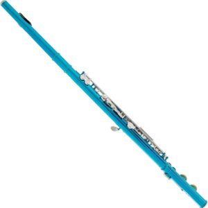 Mendini By Cecilio Flutes - Closed Hole C Flute For Beginners, 16-Key Flute with a Case, Stand, Lesson Book, and Cleaning Kit, Musical Instrument for Kids, Nickel Plated