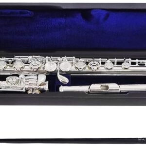 YANASON Student C Flute 16 Closed Hole C Flute with Carrying Case Stand Gloves Cleaning Cloth and More