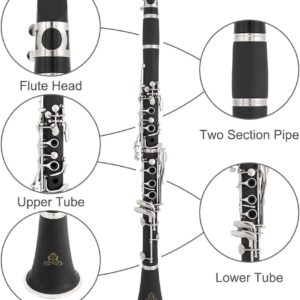 Bb Clarinet - Band Clarinet for Beginner, with Clarinet Stand, Mouthpiece, Hard Case Bag and Cleaning KitBlack