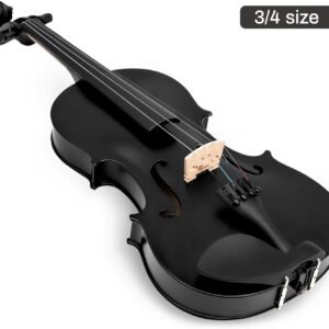 4/4 Violin for Beginner, Poseidon Premium Violin Fiddle Set for Beginners Adult Student w/Case, Extra Violin 4/4 Strings Set, Two Bows, Two Bridges, Two Rosins, Tuner, Manual - Black Polished