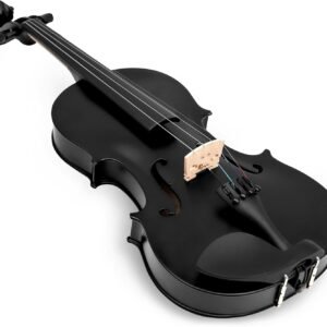 4/4 Violin for Beginner, Poseidon Premium Violin Fiddle Set for Beginners Adult Student w/Case, Extra Violin 4/4 Strings Set, Two Bows, Two Bridges, Two Rosins, Tuner, Manual - Black Polished