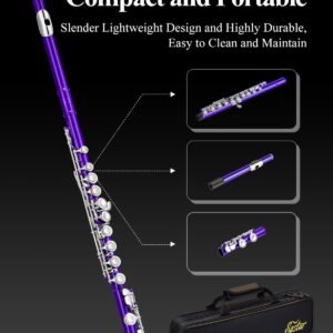 Eastar C Flutes Closed Hole 16 Keys Flute for Beginner Kids Student Flute Instrument with Cleaning Kit, Stand, Carrying Case, Gloves, Tuning Rod, Nickel, EFL-1