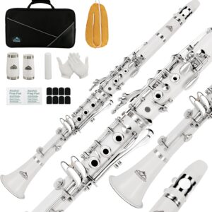 EASTROCK Bb Clarinet 17 Keys ABS Material Wide Range of Tones Particularly Beginner & Students-friendly with Using Tools and 2 Replaceable Barrels