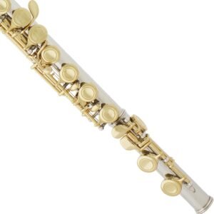 Mendini By Cecilio Flutes - Closed Hole C Flute For Beginners, 16-Key Flute with a Case, Stand, Lesson Book, and Cleaning Kit, Musical Instrument for Kids, Nickel with Gold Keys