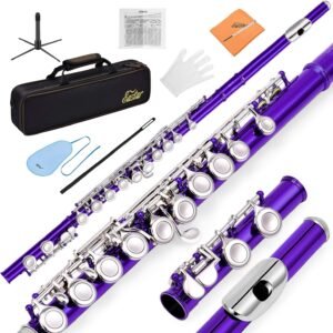 Eastar C Flutes Open Hole 16 Keys Flute for Beginner Kids Student Flute Instrument with Fingering Chart, Cleaning Kit, Stand, Carrying Case, Gloves, Tuning Rod, Silver, EFL-2