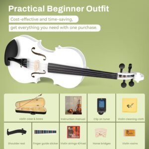 4/4 Violin for Beginner, Poseidon Premium Violin Fiddle Set for Beginners Adult Student w/Case, Extra Violin 4/4 Strings Set, Two Bows, Two Bridges, Two Rosins, Tuner, Manual - Black Polished