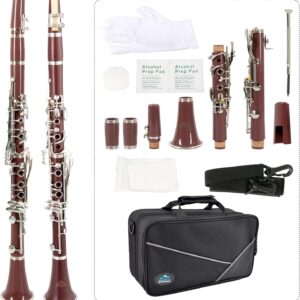 EASTROCK Bb Clarinet 17 Keys ABS Material Wide Range of Tones Particularly Beginner & Students-friendly with Using Tools and 2 Replaceable Barrels