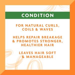 Cantu Leave-In Conditioning Cream for Natural Hair with Pure Shea Butter, 12 oz Pack of 2 Packaging May Vary