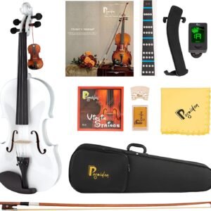 4/4 Violin for Beginner, Poseidon Premium Violin Fiddle Set for Beginners Adult Student w/Case, Extra Violin 4/4 Strings Set, Two Bows, Two Bridges, Two Rosins, Tuner, Manual - Black Polished