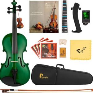 4/4 Violin for Beginner, Poseidon Premium Violin Fiddle Set for Beginners Adult Student w/Case, Extra Violin 4/4 Strings Set, Two Bows, Two Bridges, Two Rosins, Tuner, Manual - Black Polished