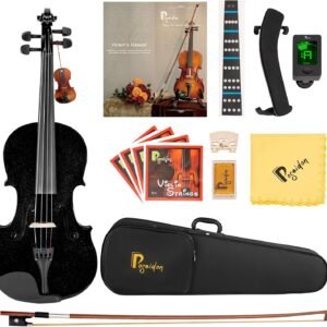 4/4 Violin for Beginner, Poseidon Premium Violin Fiddle Set for Beginners Adult Student w/Case, Extra Violin 4/4 Strings Set, Two Bows, Two Bridges, Two Rosins, Tuner, Manual - Black Polished