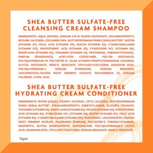 Cantu Sulfate-Free Cream Shampoo & Conditioner Bundle, 13.5 Fl Oz Pack of 2